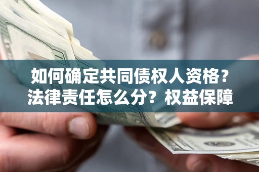 北京如何确定共同债权人资格？法律责任怎么分？权益保障技巧揭秘！