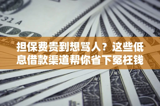 北京担保费贵到想骂人？这些低息借款渠道帮你省下冤枉钱