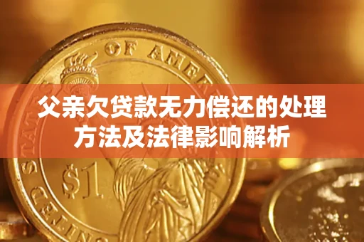 北京父亲欠贷款无力偿还的处理方法及法律影响解析